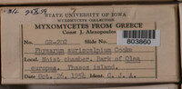Image Associated With the Occurrence